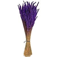 Los mejores  - Lavanda Ramo de Flor Natural de Lavanda Preservada de Cultivo Ecológico- Purifica el Aire Mantiene su olor Natural.